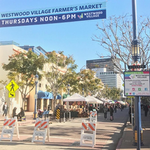 Wilshire Apartment 215 - 3 bedroom image 14