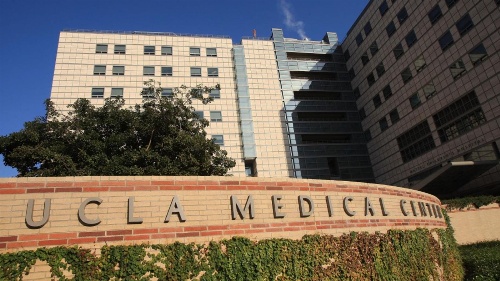 Wilshire Apartment 215 - 3 bedroom image 4